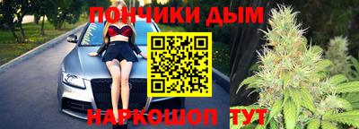 индика Моздок
