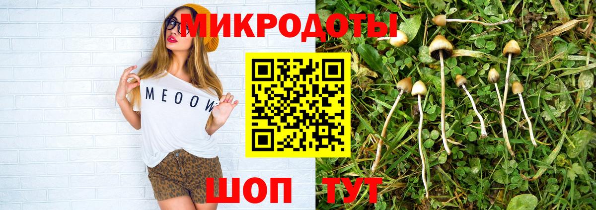 Псилоцибиновые грибы прущие грибы  купить наркотики цена  Советский  Вход с VPN 