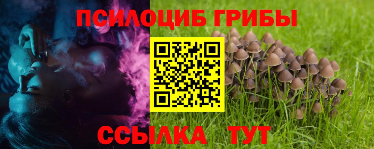 Галлюциногенные грибы Magic Shrooms Советский